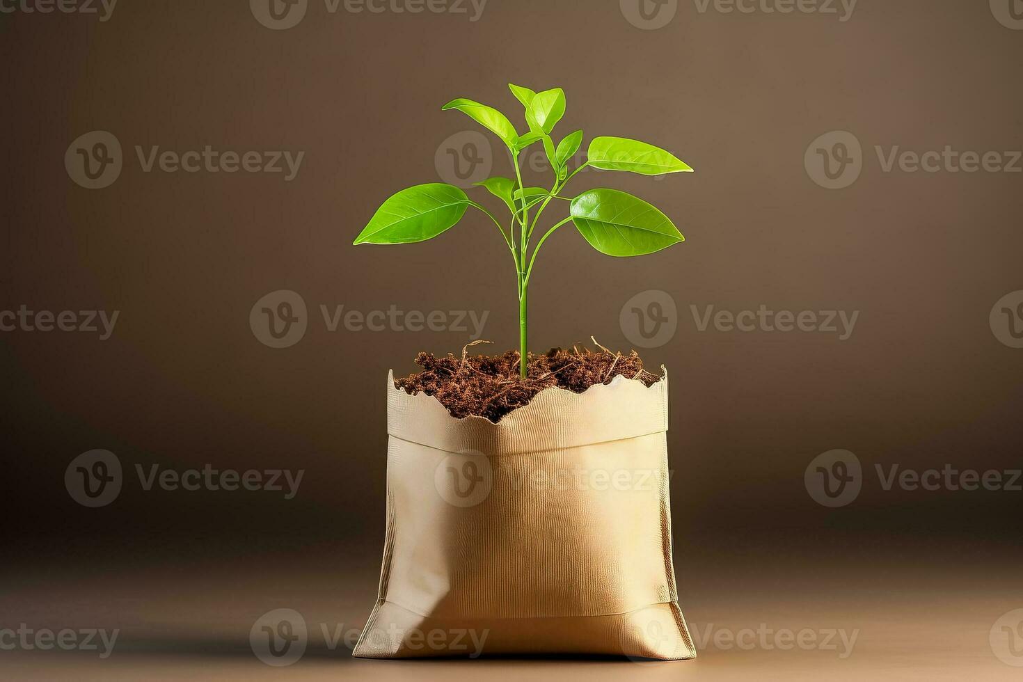 pequeno verde plantar dentro Castanho papel saco contra Castanho fundo sustentabilidade conceito minimalista estilo ilustração 3d render foto