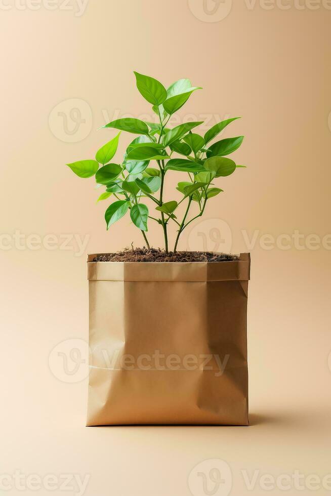 pequeno verde plantar dentro Castanho papel saco contra Castanho fundo sustentabilidade conceito minimalista estilo ilustração 3d render foto