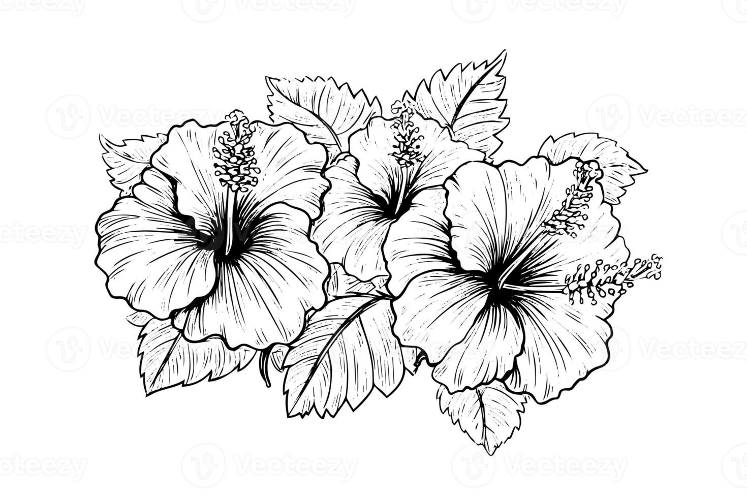 hibisco flores dentro uma vintage xilogravura gravado gravura estilo. vetor ilustração. foto