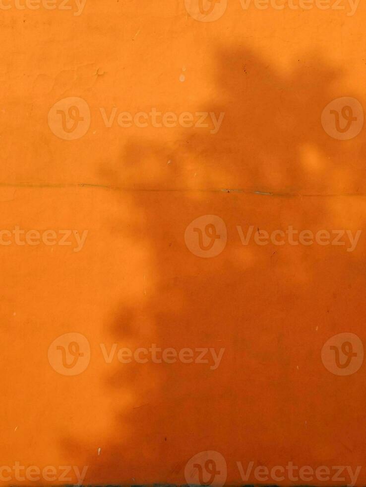 laranja paredes com luz sombras foto