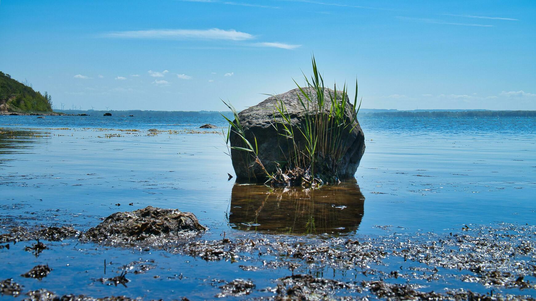 solteiro Rocha dentro a mar com grama. a pedra mentiras dentro a báltico mar dentro luz do sol. foto