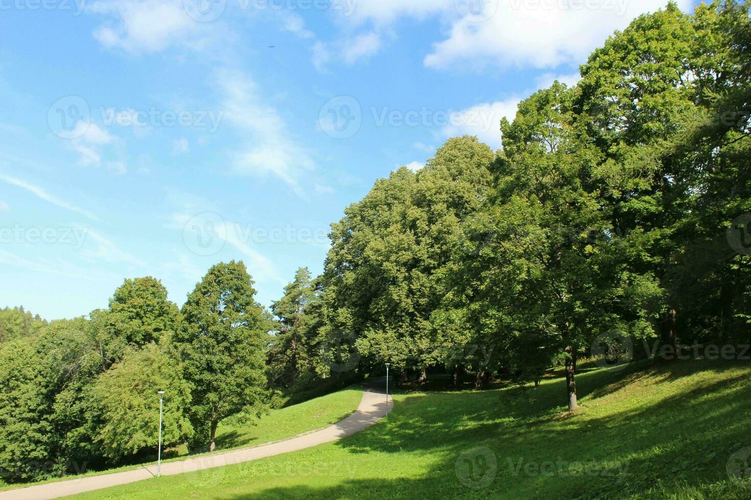 lindo parque cena dentro público parque com verde grama, verde árvore plantar e uma nublado azul céu festa foto