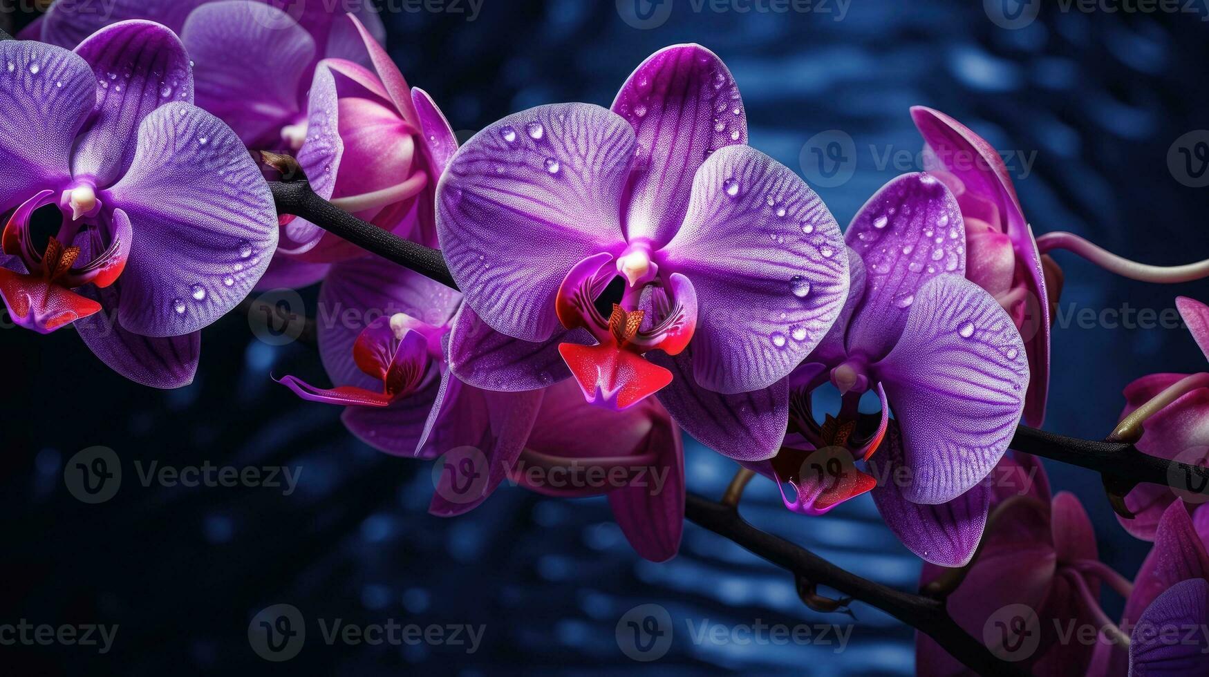 lindo florescendo orquídea flores foto