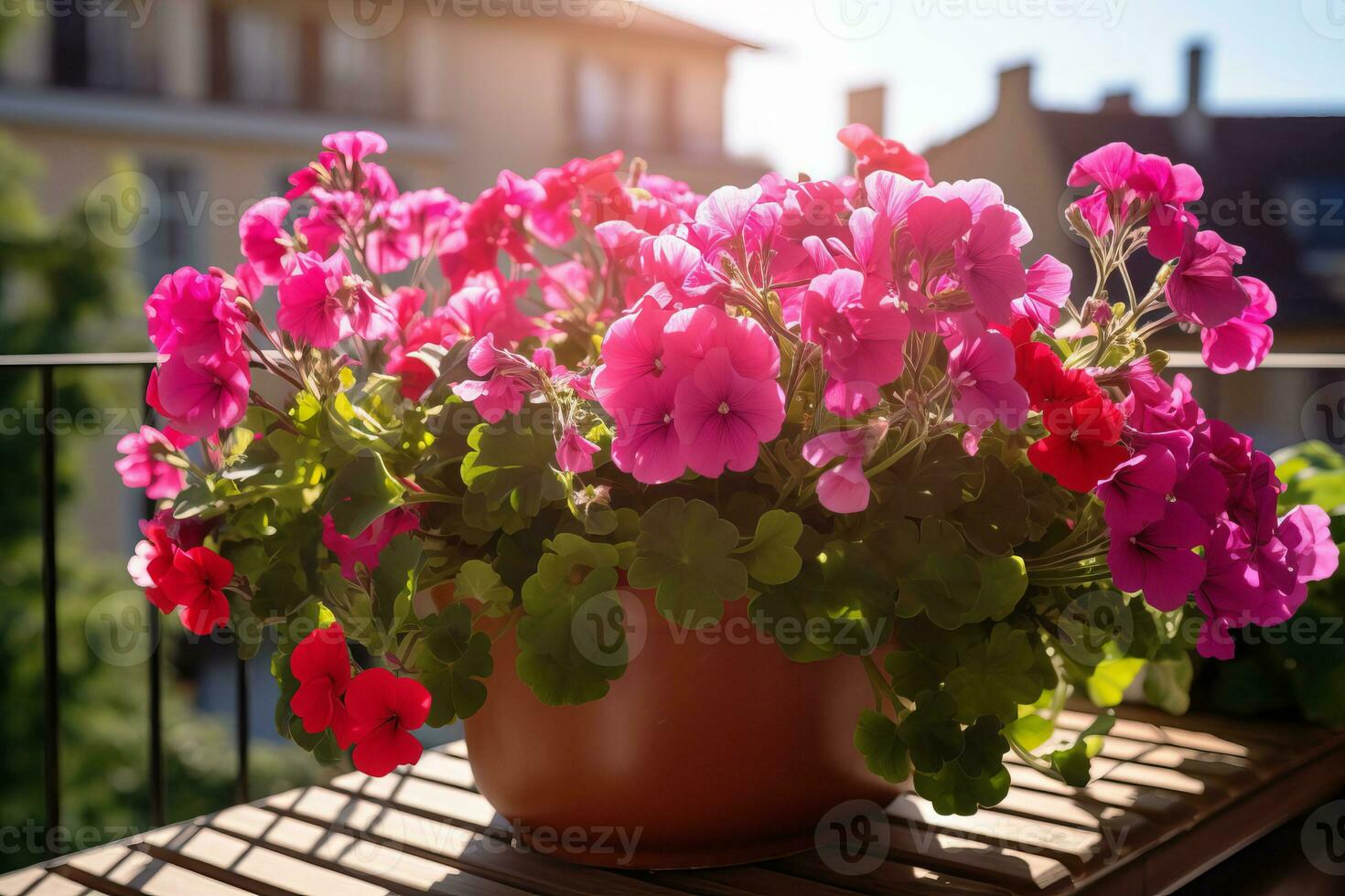 floração em vaso plantas foto