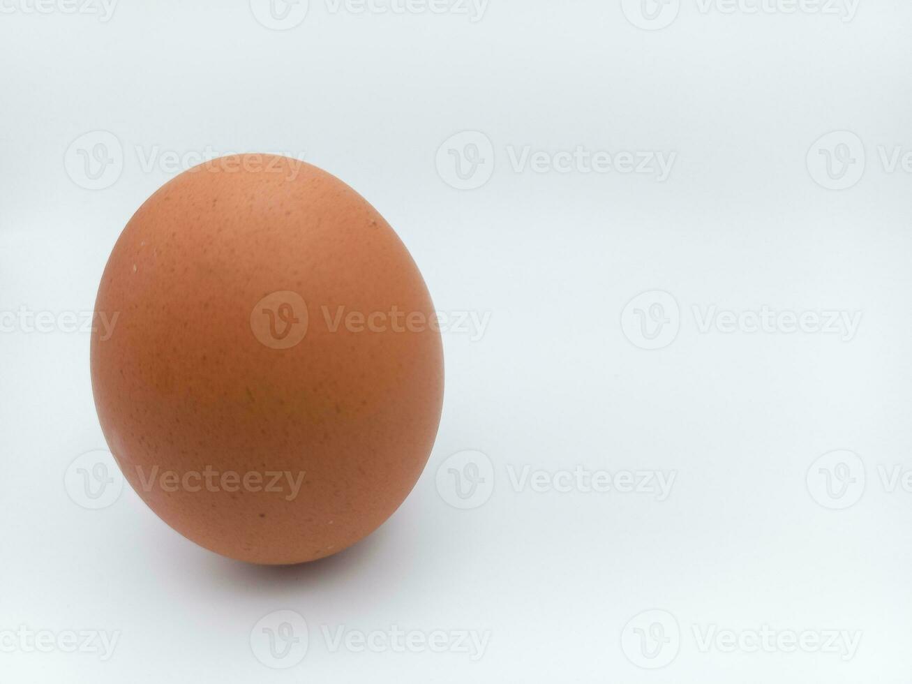 Castanho frango ovo em pé posição isolado em branco fundo com negativo espaço foto
