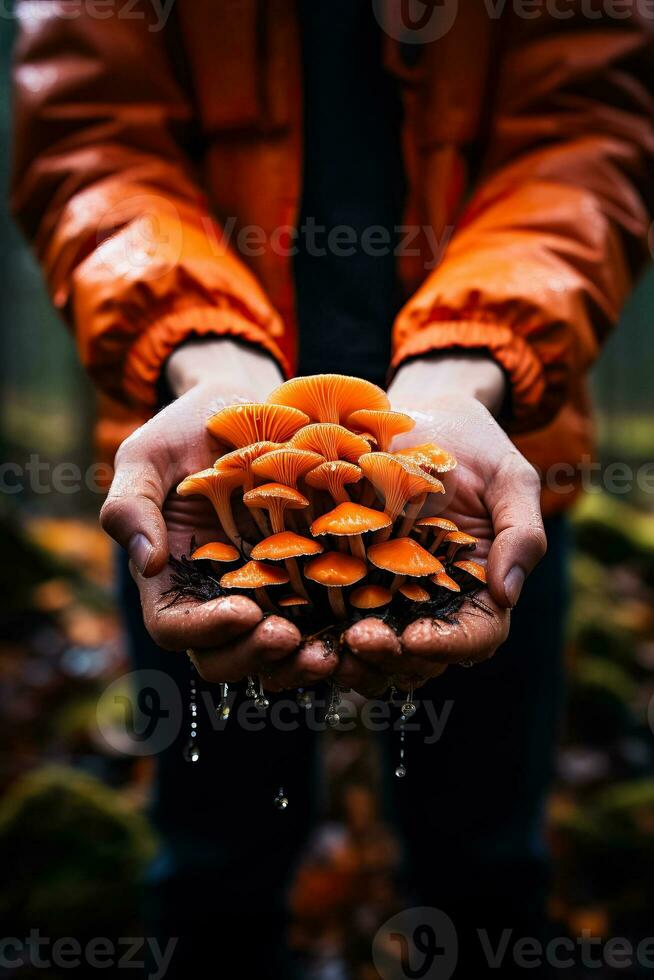 uma fechar-se tiro captura uma mão segurando uma vibrante laranja cogumelo simbolizando a escondido tesouros do outono florestas foto