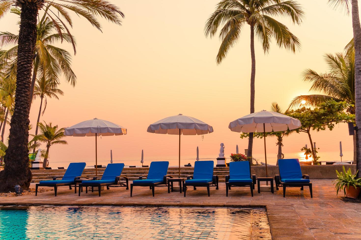 bela palmeira com piscina com cadeira de guarda-chuva em hotel resort de luxo na hora do nascer do sol - conceito de férias e férias foto
