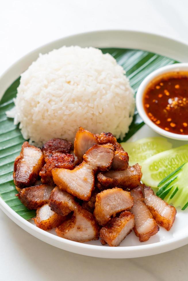 Barriga de porco frita com arroz com molho apimentado em estilo asiático foto