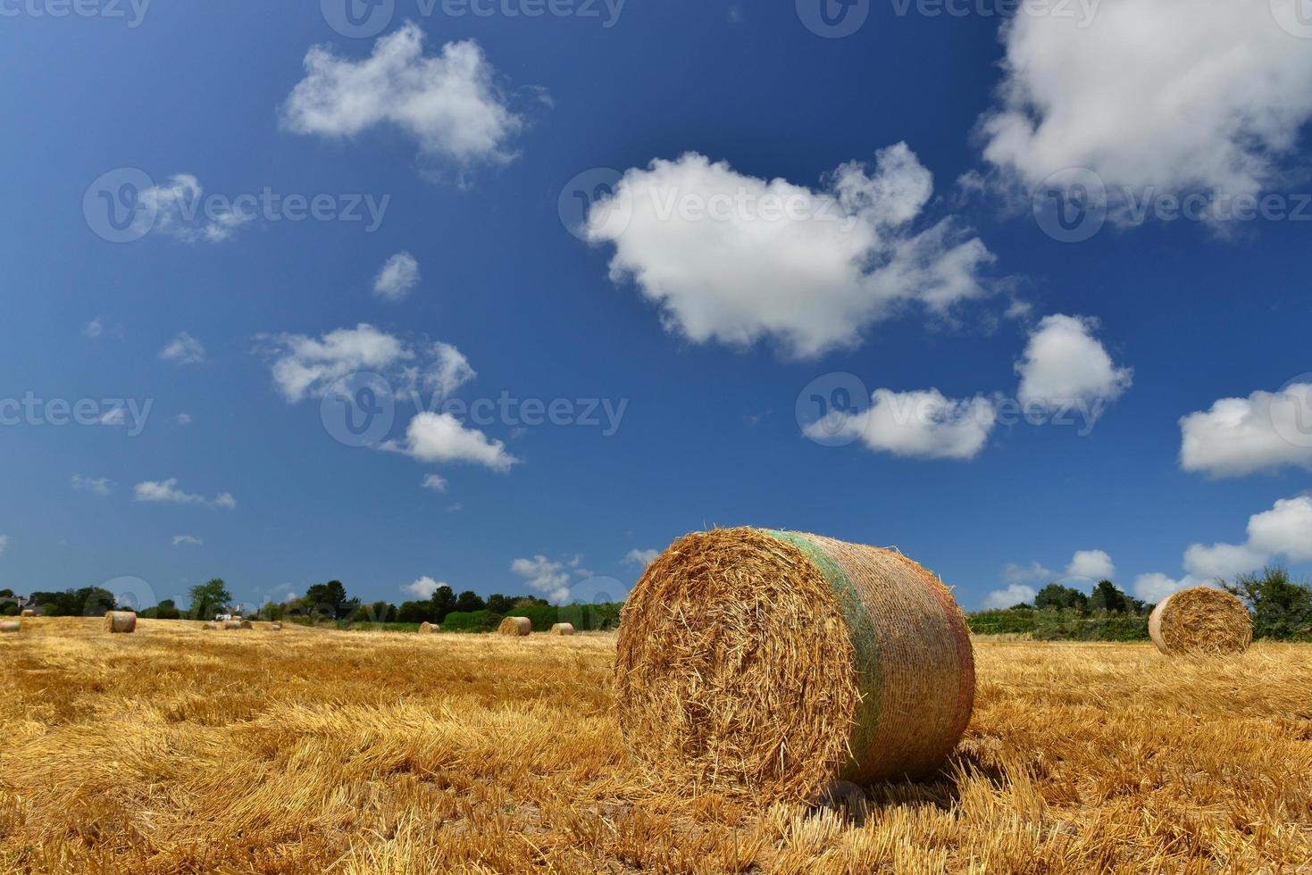 paisagem de fim de verão no reino unido fardos de palha foto