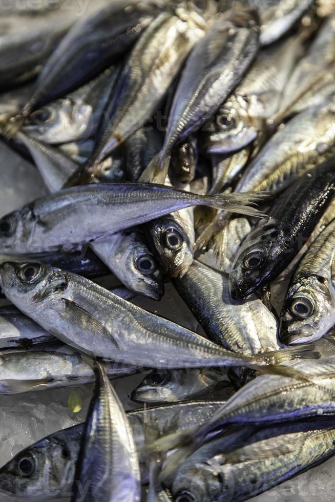 peixe em um mercado foto