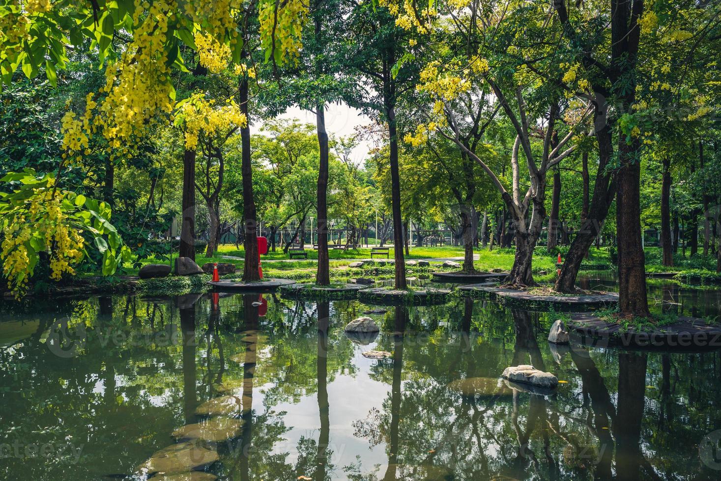 cenário do parque pantanoso de dadong, kaohsiung, taiwan foto