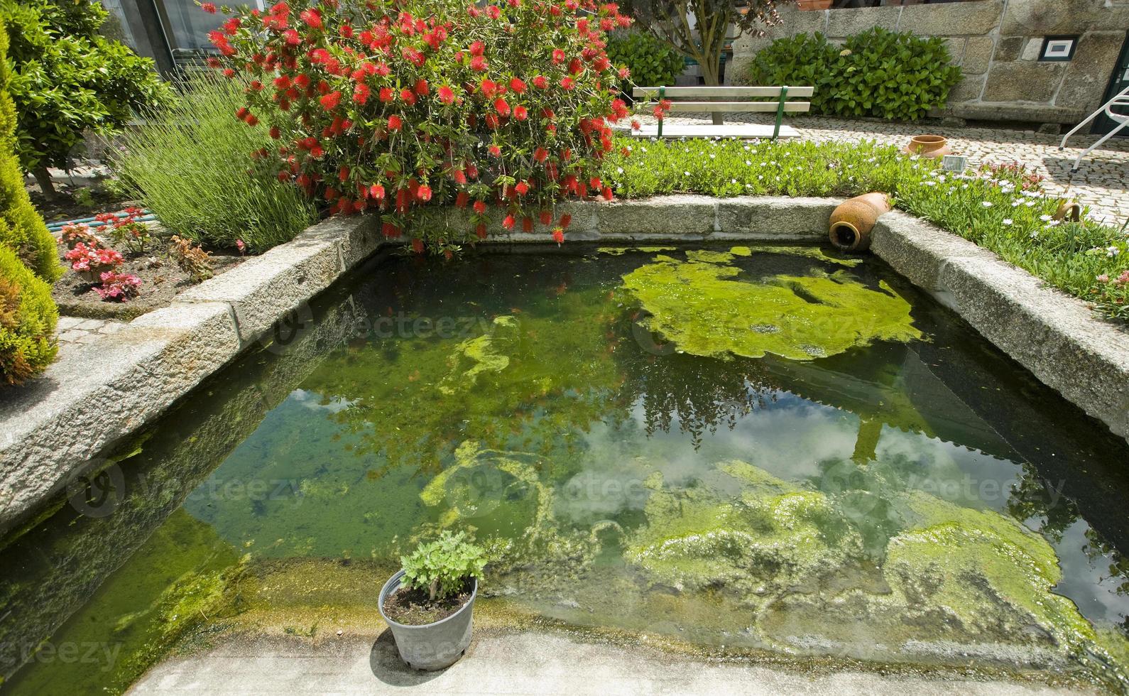 um lago rodeado de plantas num jardim português foto