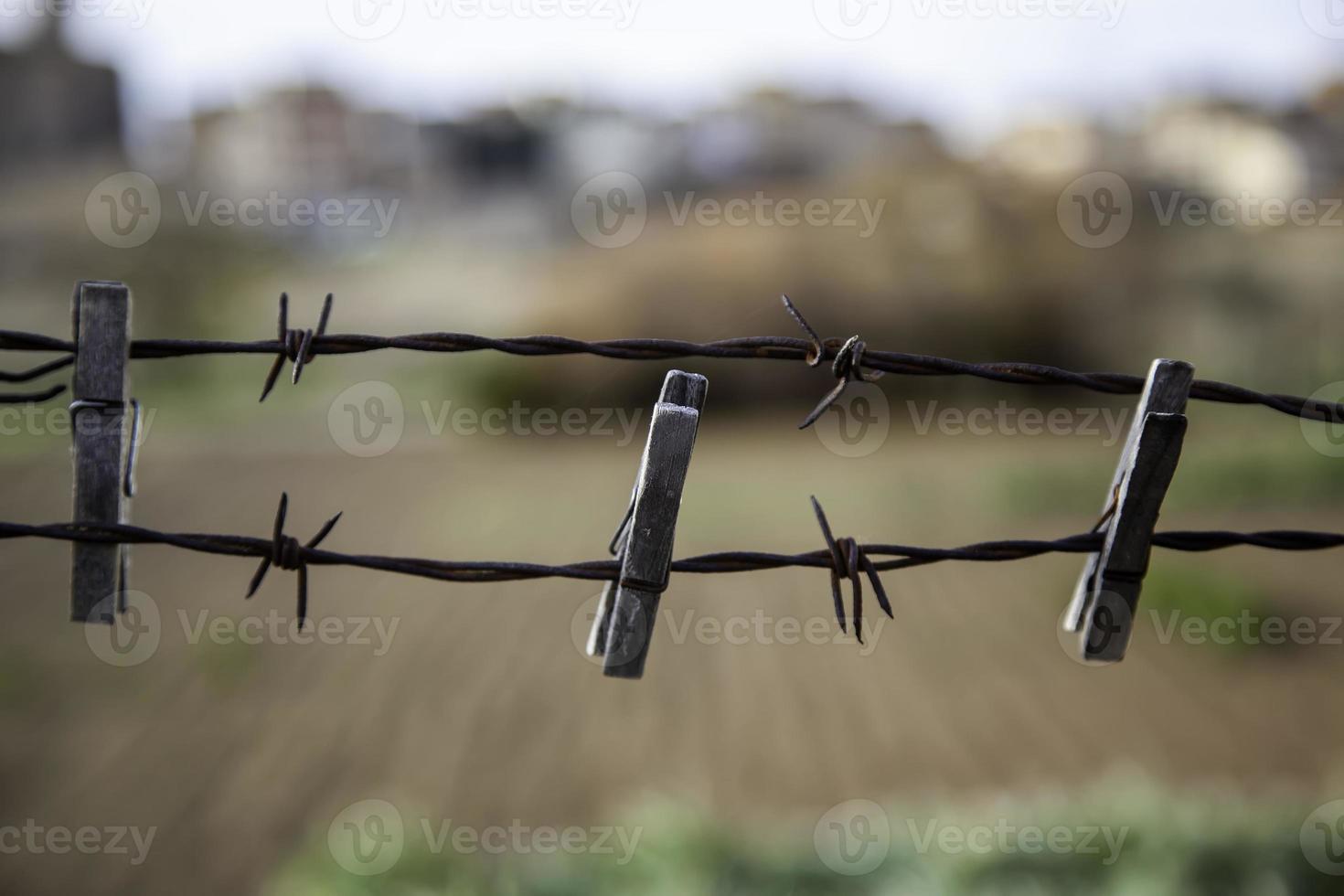 detalhe de prendedores de roupa de madeira foto