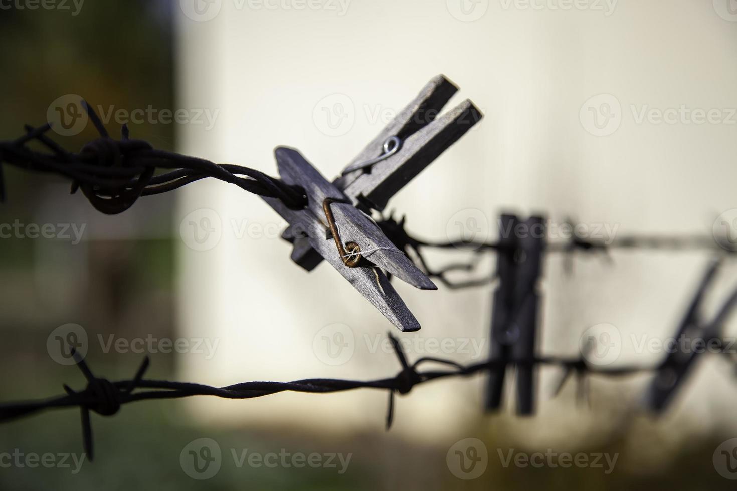 detalhe de prendedores de roupa de madeira foto