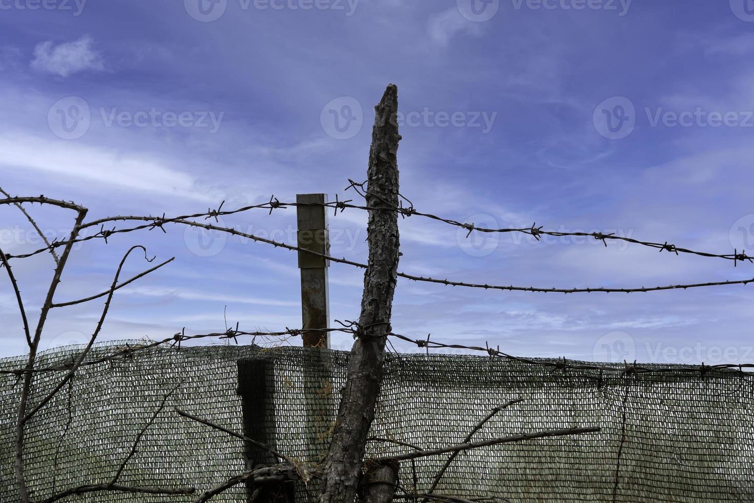 imigração de arame farpado foto