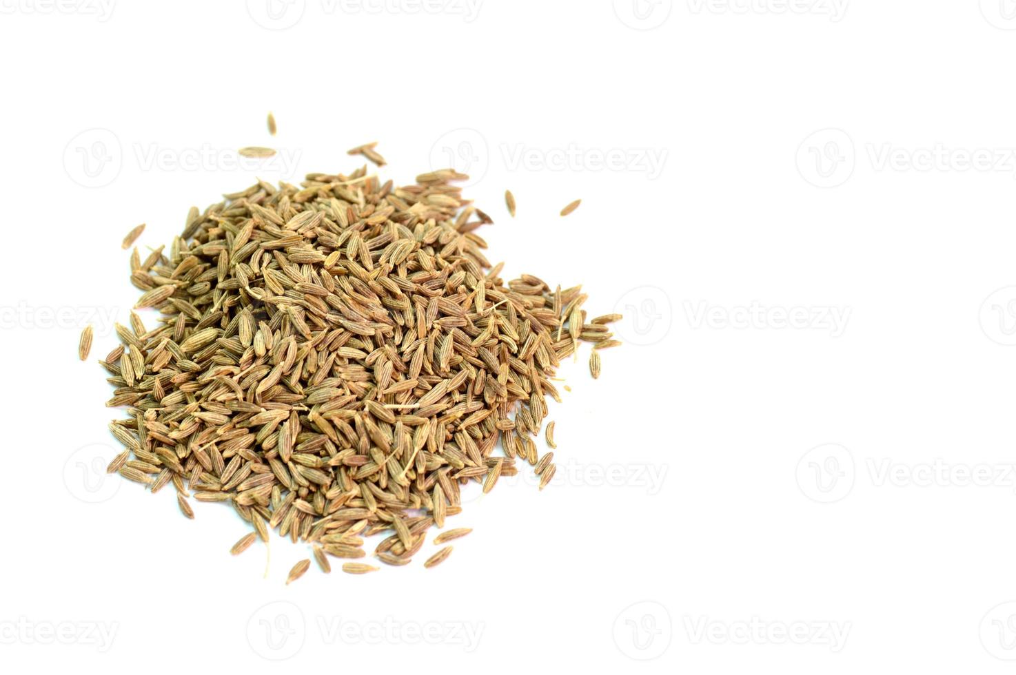 sementes de cominho isoladas em fundo branco foto