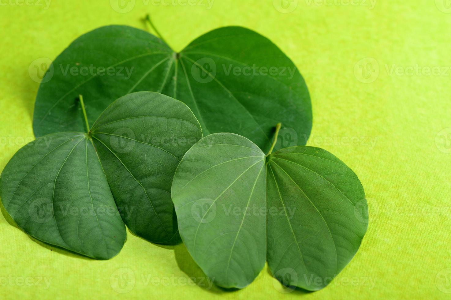 festival indiano dussehra, mostrando folhas douradas e flores sobre fundo verde. cartão de felicitações. foto