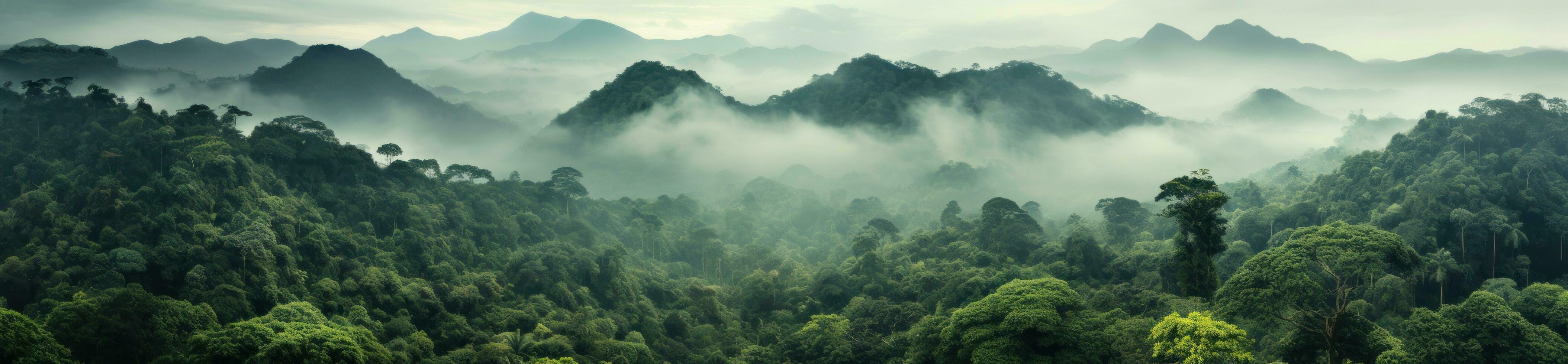 selva e montanhas natural fundo foto