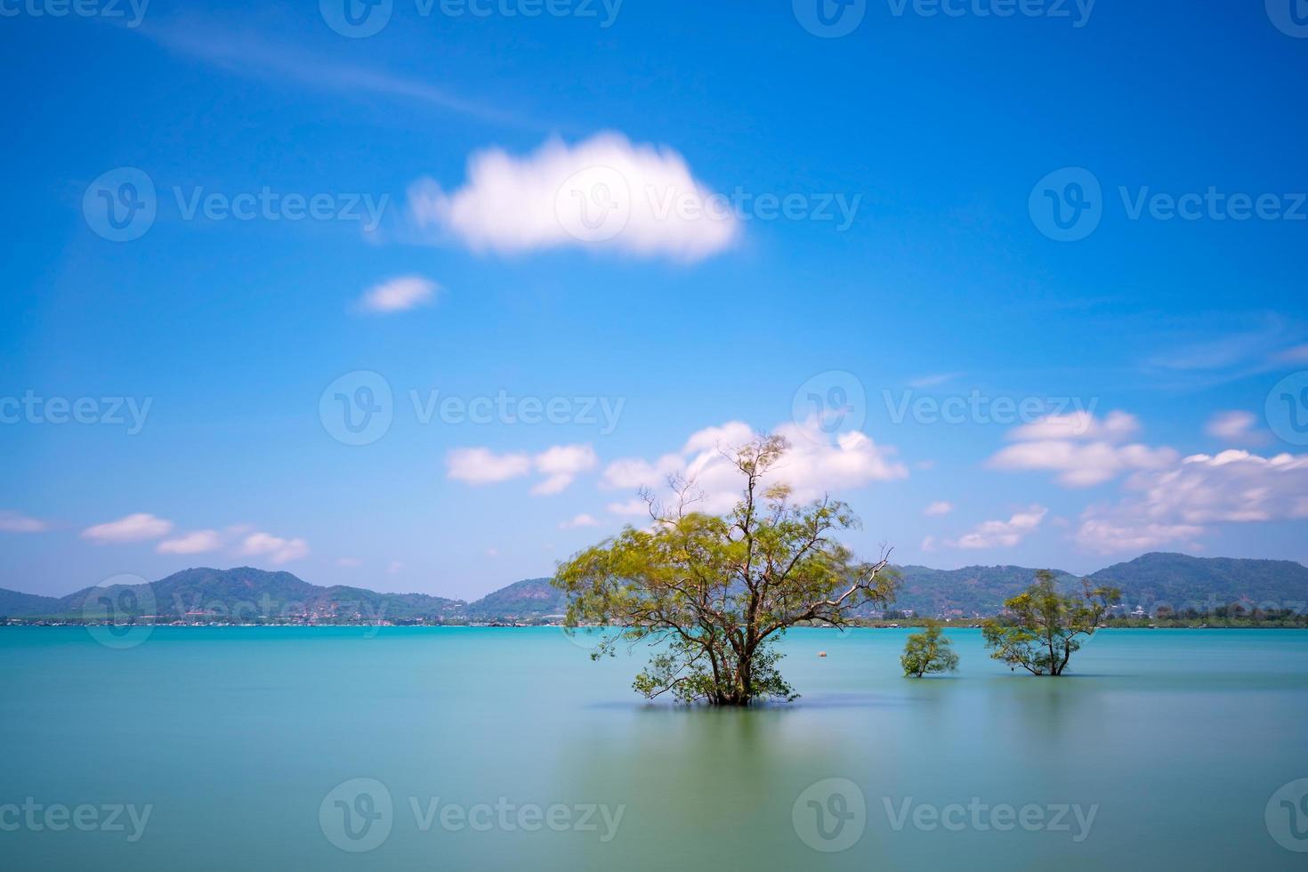 imagem de longa exposição de árvores de mangue no mar na ilha de phuket foto