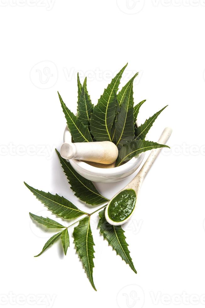 folhas de nim medicinal em almofariz e pilão com pasta de nim no fundo branco foto