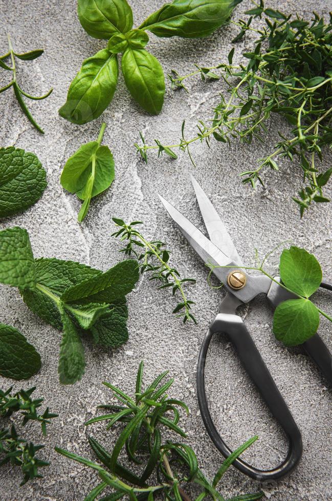 ervas e tesouras de cozinha foto