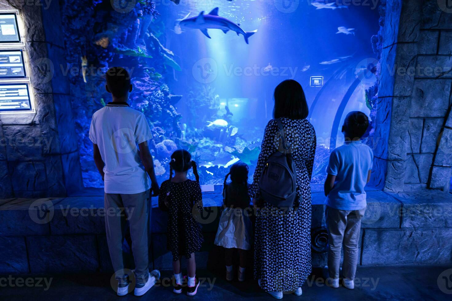 família olhando às peixes e Tubarão dentro oceanário. costas do mãe com crianças desfrutando dentro oceano Exibir tanque. foto