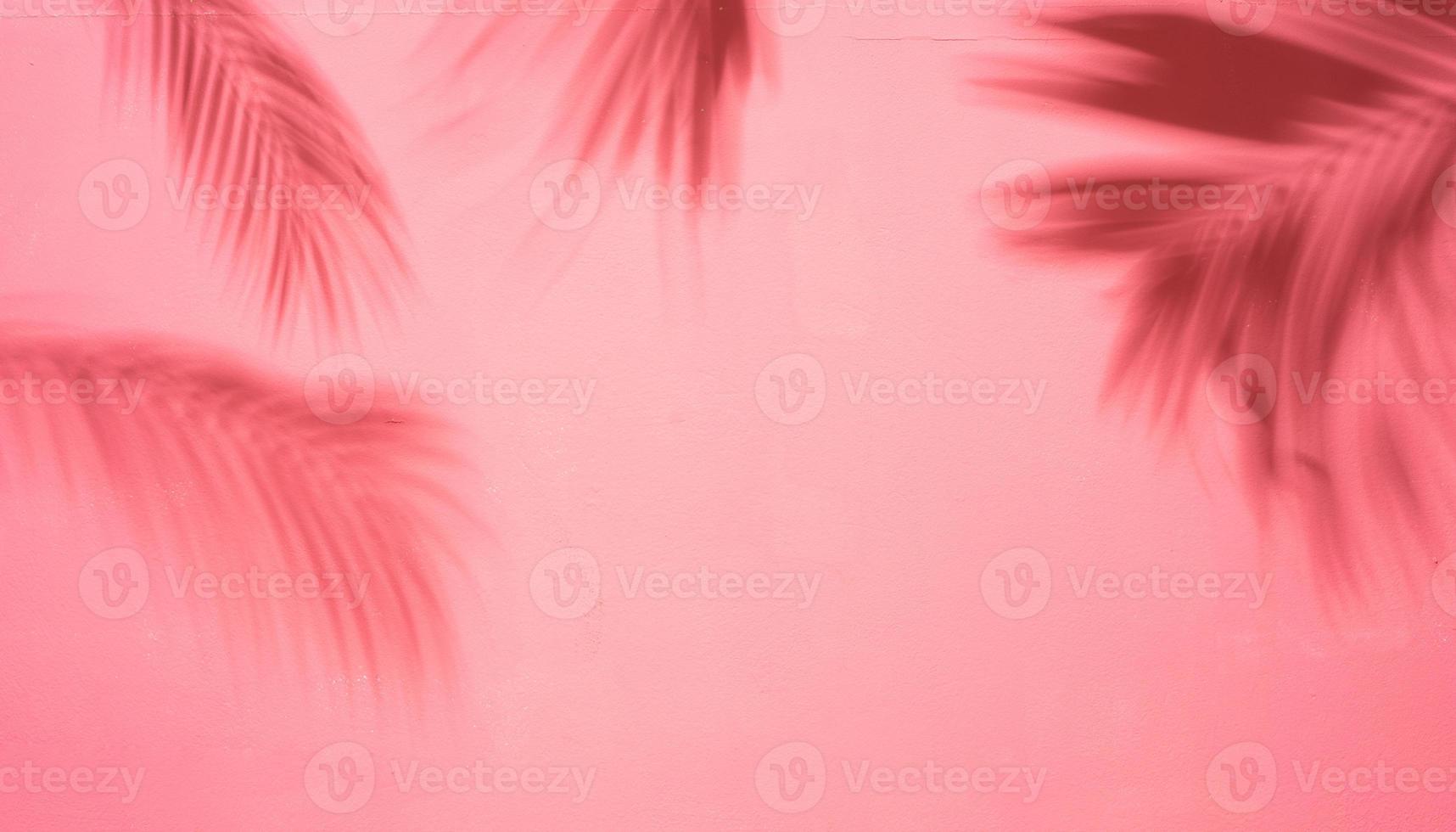 parede rosa com sombra de folhas de palmeira na parede, fundo de verão foto