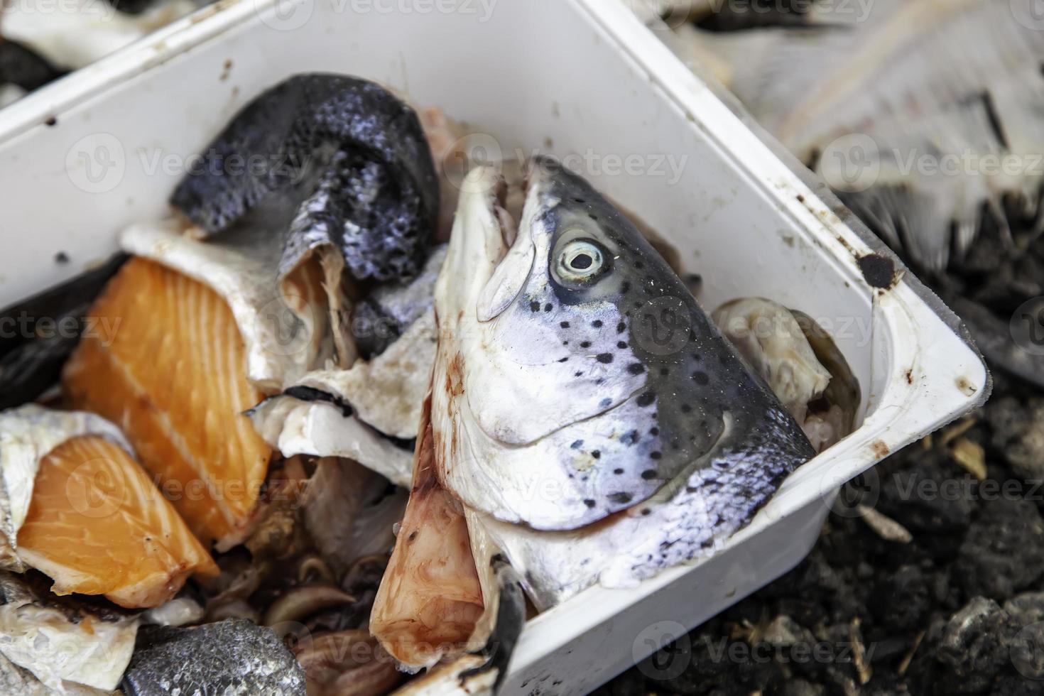 cabeças de peixe cru foto