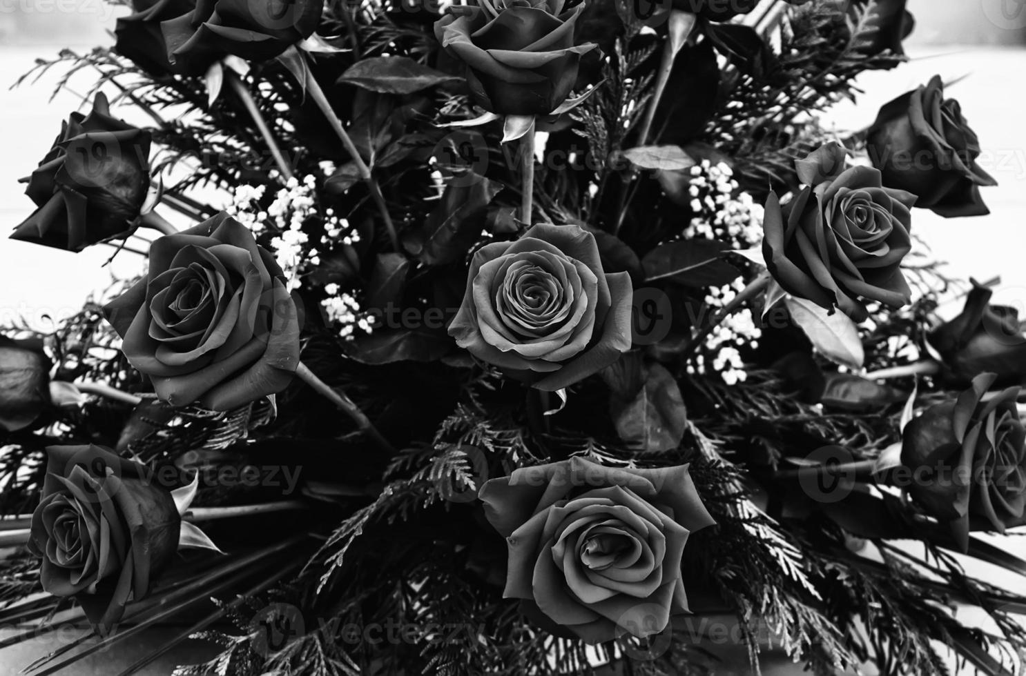 rosas dos noivos do centro foto
