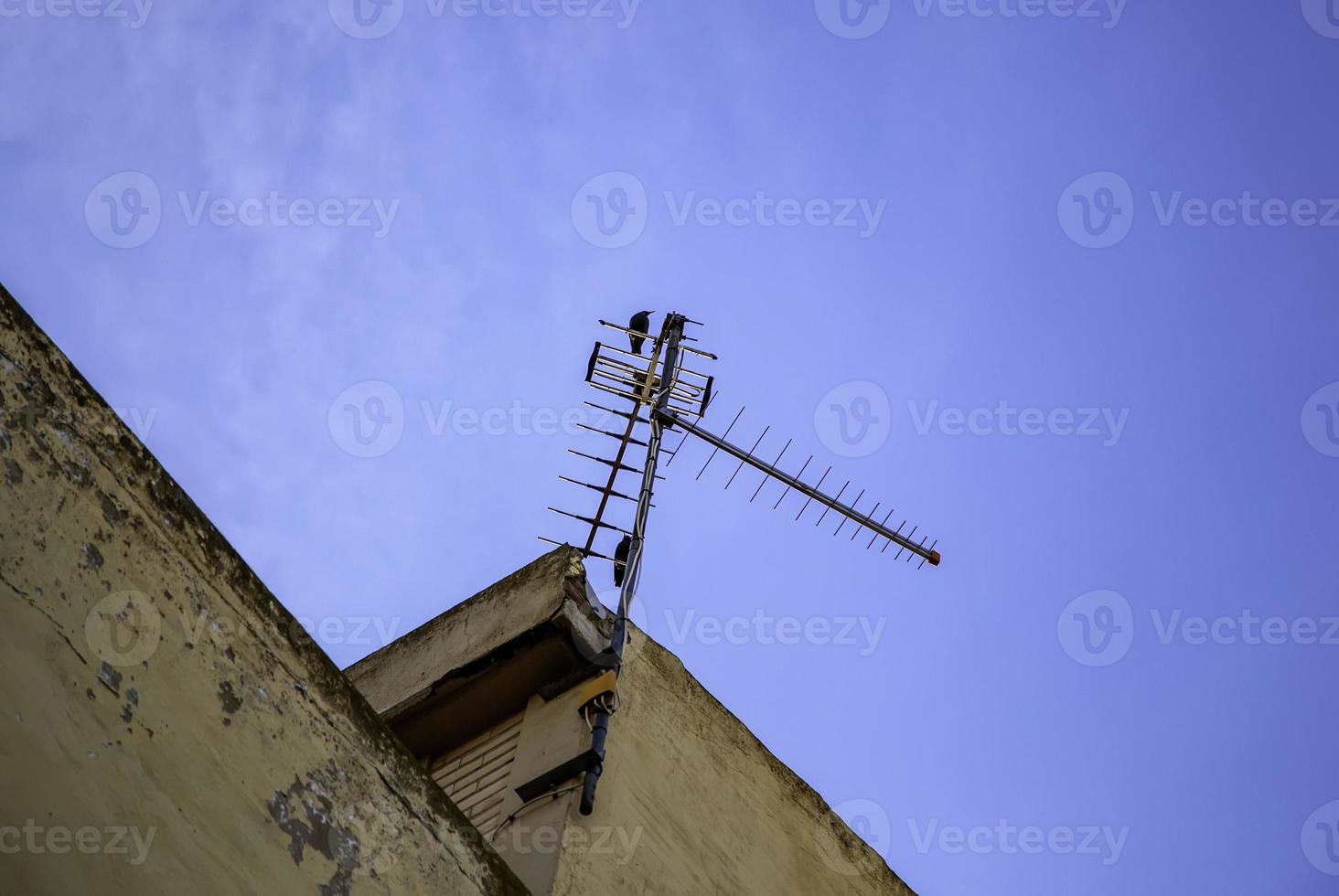 antena de televisão de telhado foto