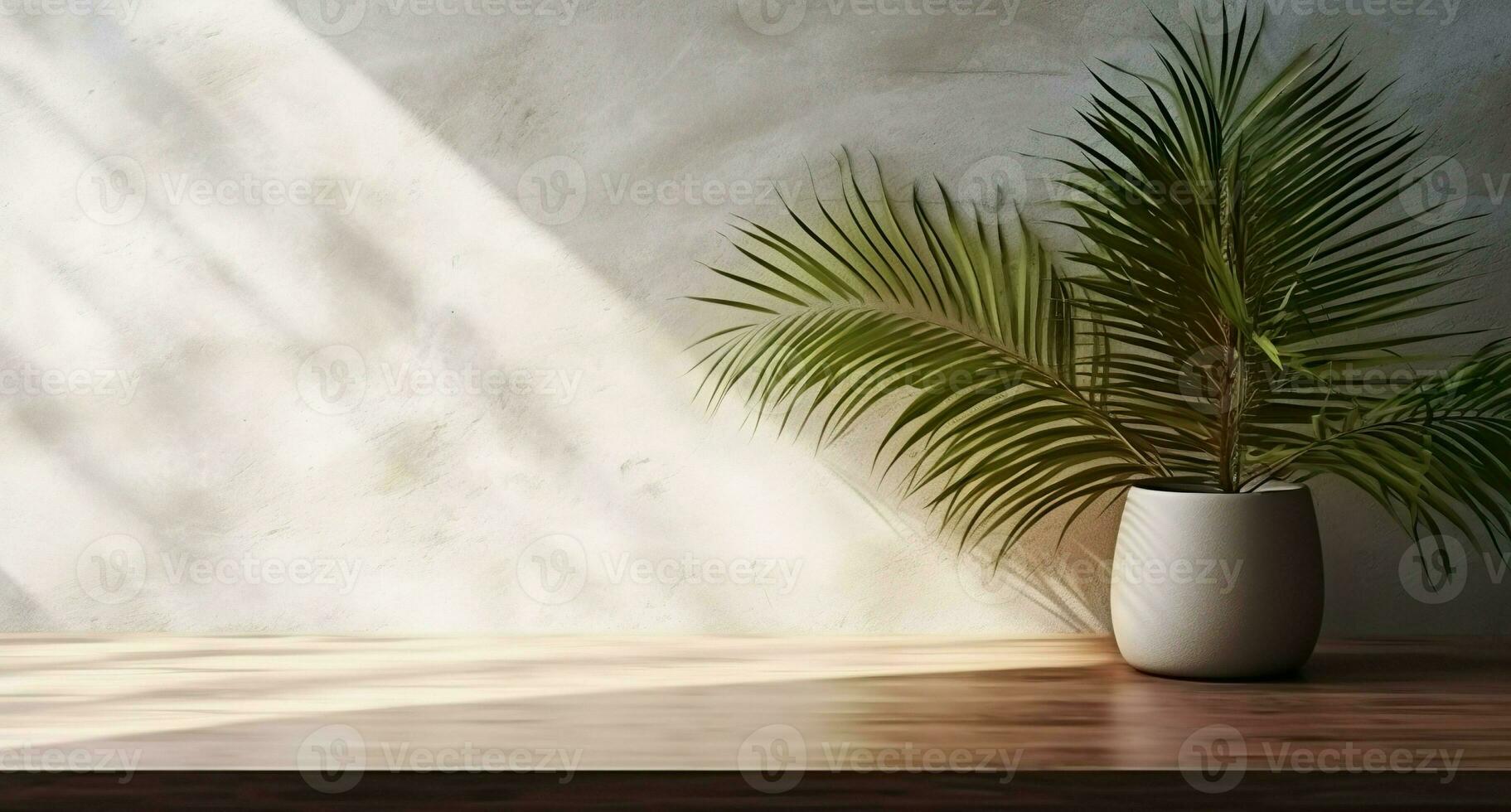 cinzento cimento parede e chão, Palma árvore dentro vaso dentro uma luz solar, sombra, raios solares efeito a partir de janela, para luxo interior Projeto decoração, produtos exibição fundo. ai generativo foto