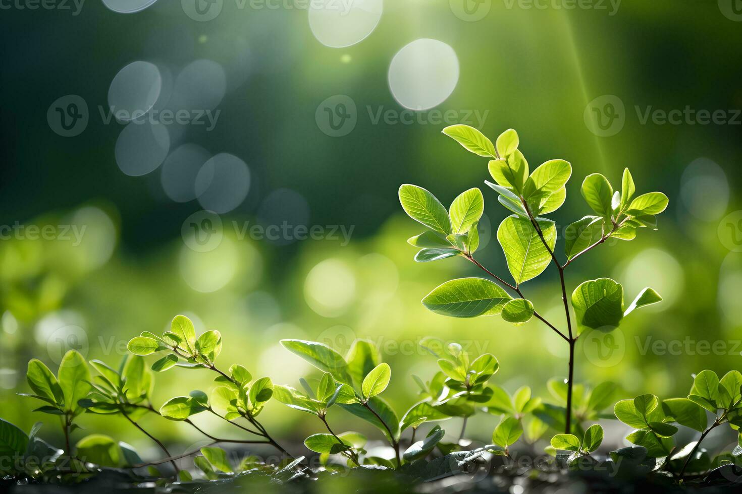 verde folhas dentro a jardim durante verão debaixo luz solar com bokeh. natureza do verde folha dentro parque. natural verde folhas plantas usando Como Primavera fundo ou vegetação papel de parede. ai generativo foto