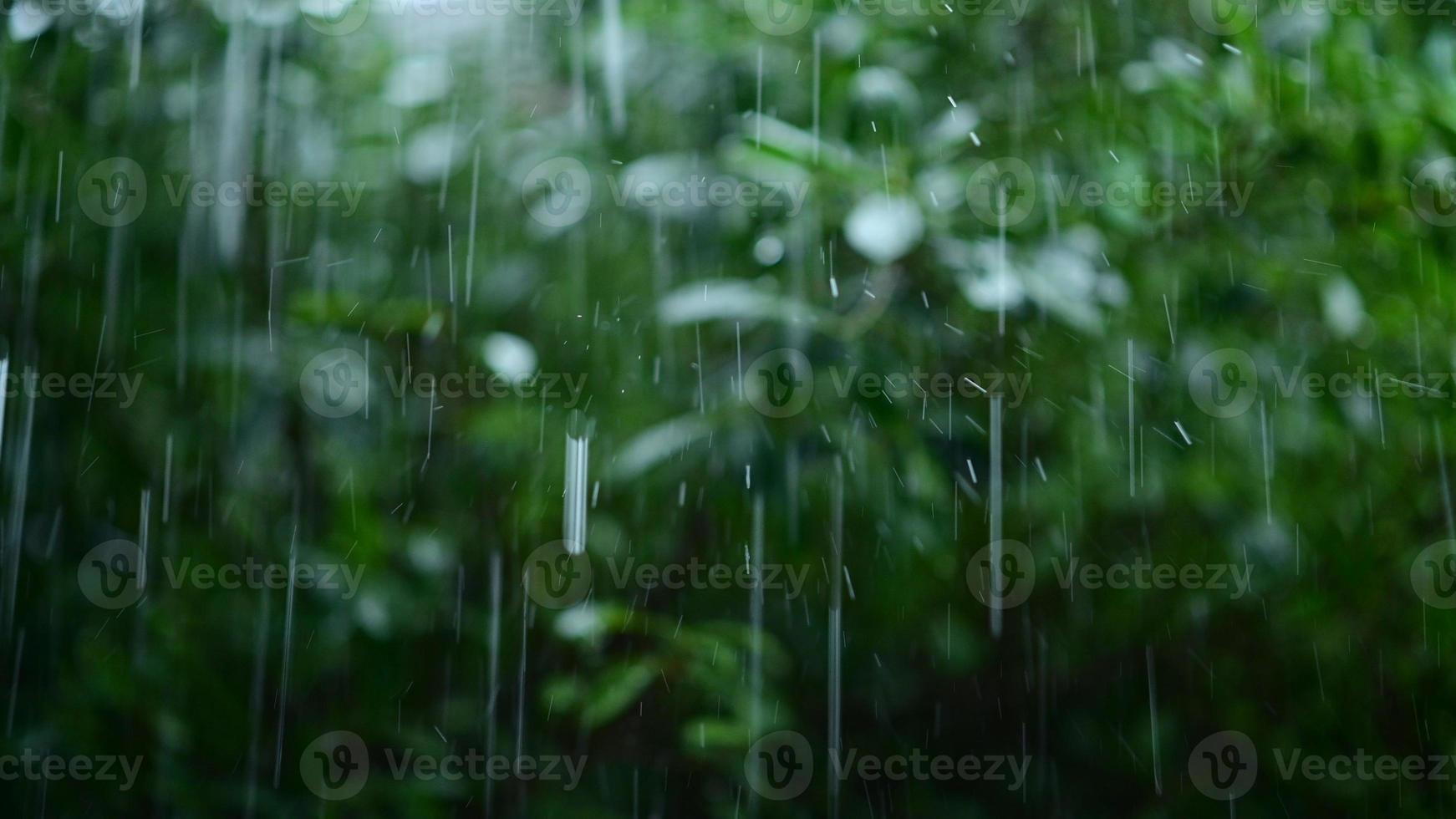 chuva e gotas de chuva pano de fundo com floresta verde, conceito chuvoso foto