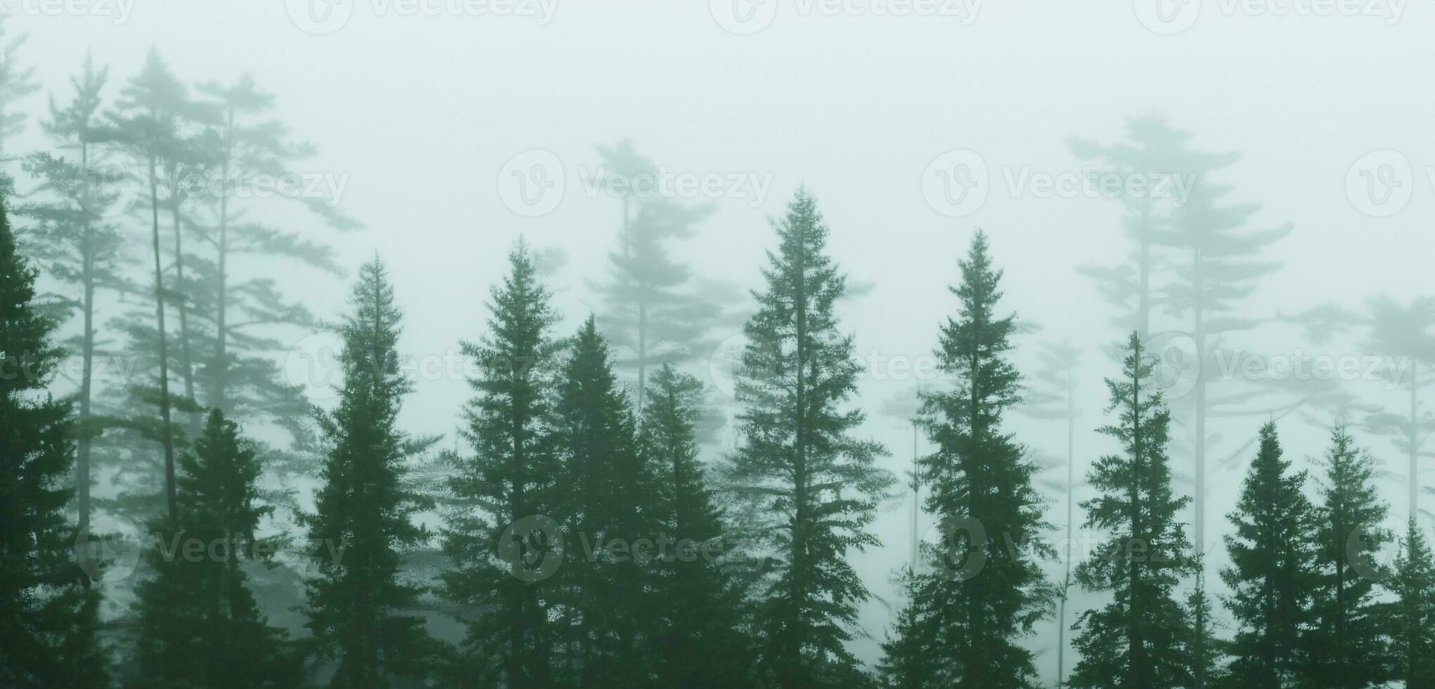 a pinho floresta estava cheio do fumaça assustador mistério grande árvore cercado de névoa dentro inverno 3d ilustração foto