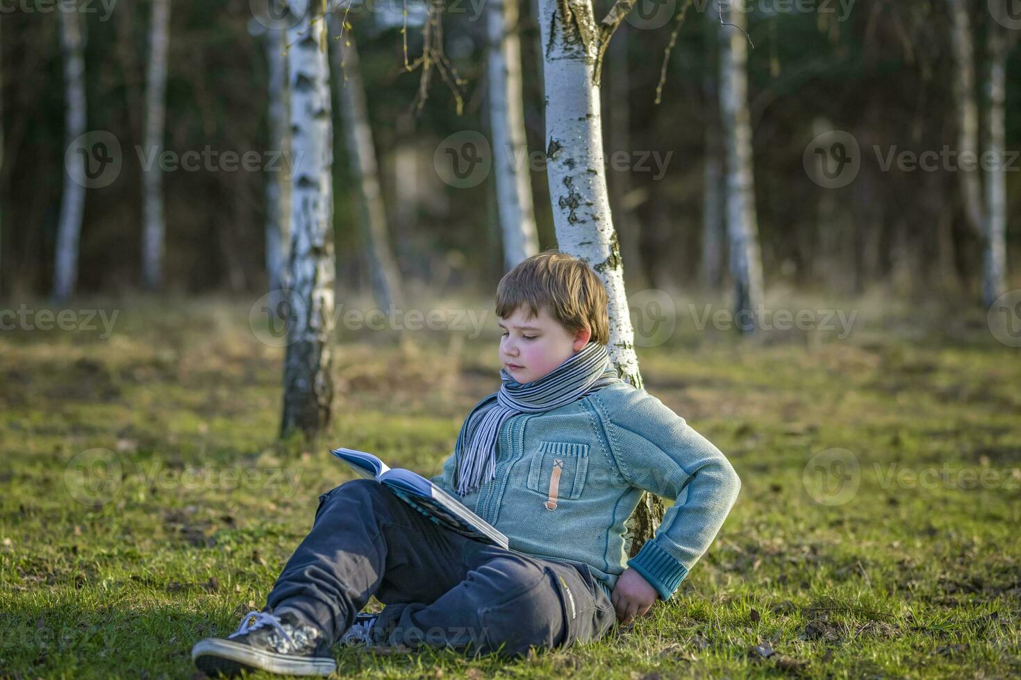 uma bonito Garoto dentro uma cachecol é dentro uma Primavera parque, sentado debaixo uma bétula árvore, lendo uma livro e desfrutando dele sonhos. foto