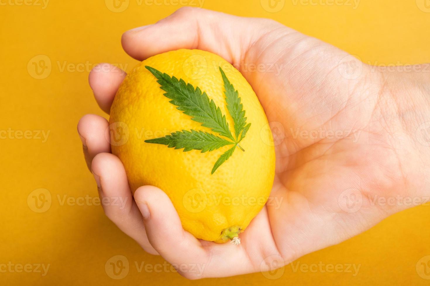 mão com limão e folha de cannabis em fundo amarelo foto