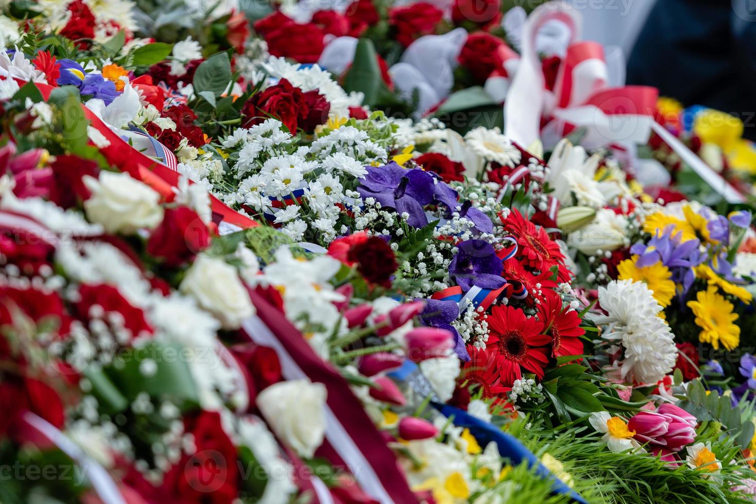 flores colocadas irregularmente em várias cores, fundo floral multicolorido - imagem foto