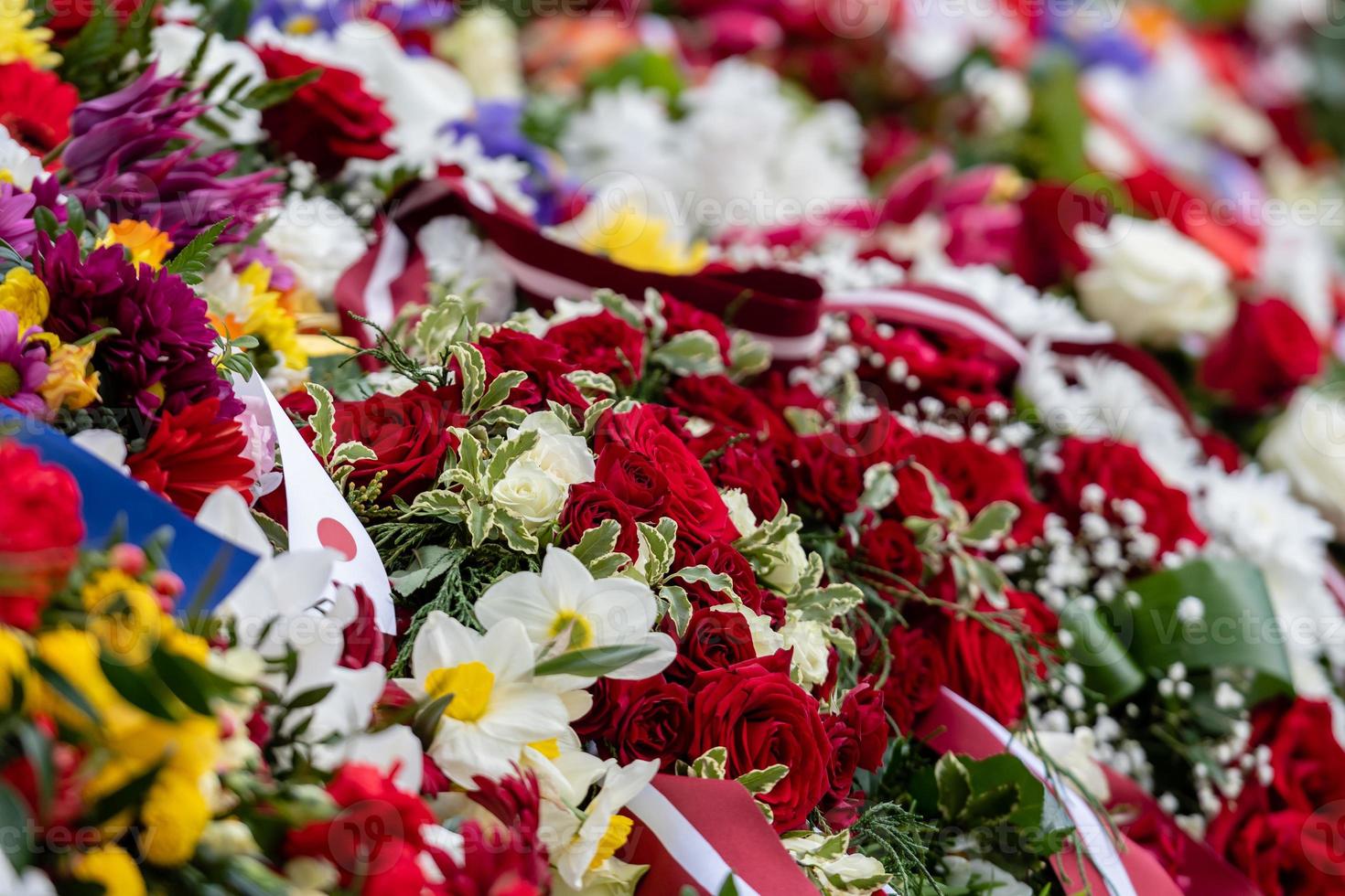 flores colocadas irregularmente em várias cores, fundo floral multicolorido - imagem foto