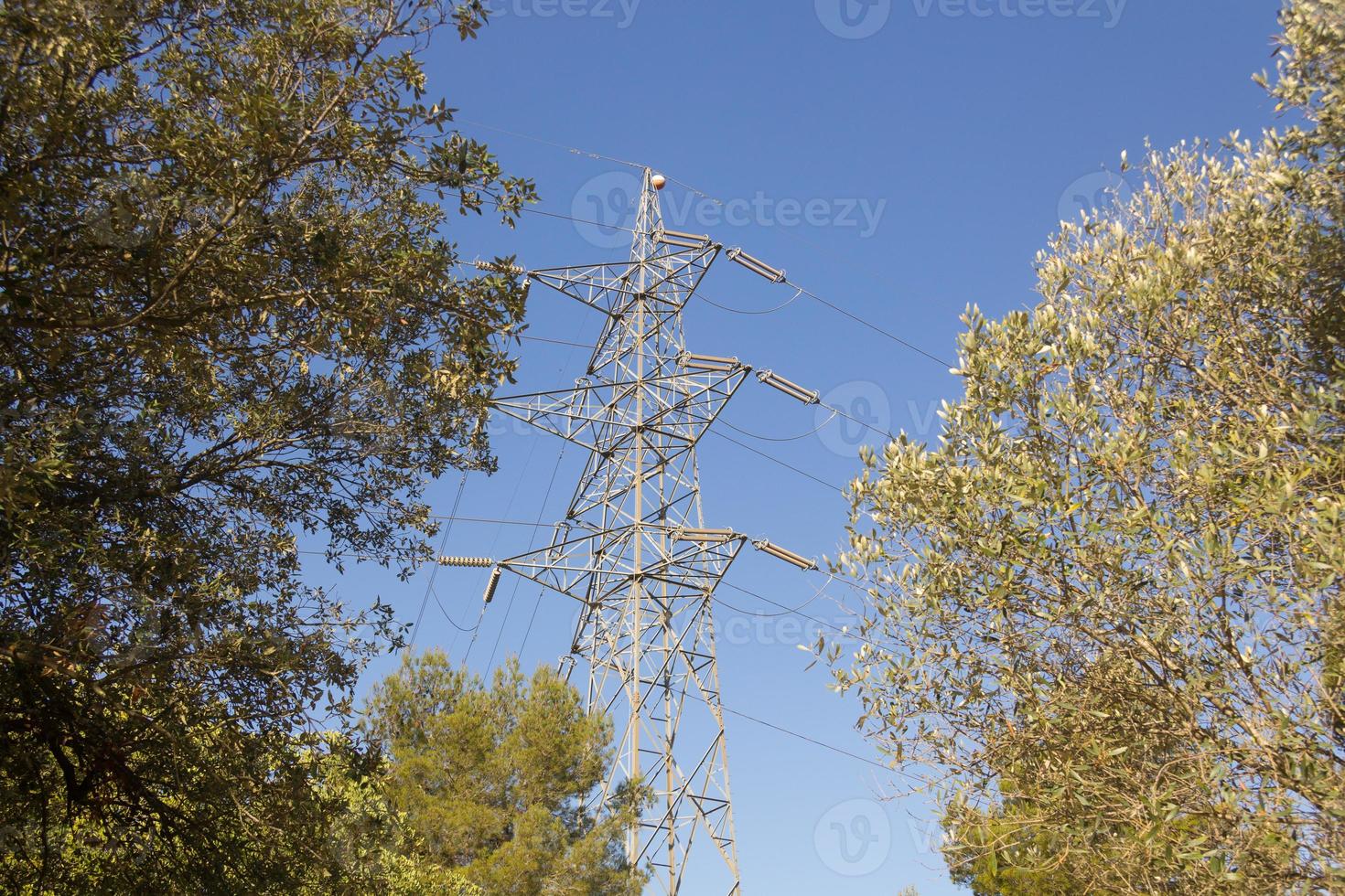 linhas de energia durante um belo pôr do sol. transporte de eletricidade em belas paisagens do mundo. foto