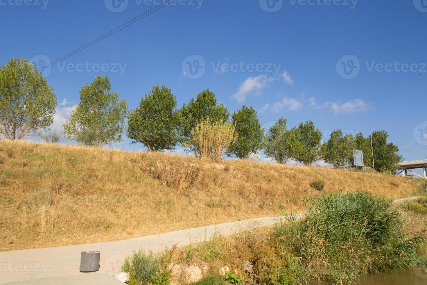 as trilhas para pedestres se cruzam no parque no verão em dias de sol foto