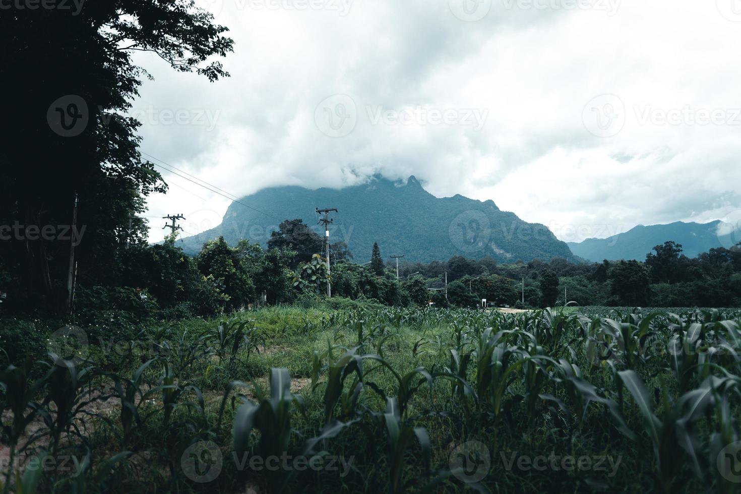 montanhas e aldeias na estação das chuvas foto