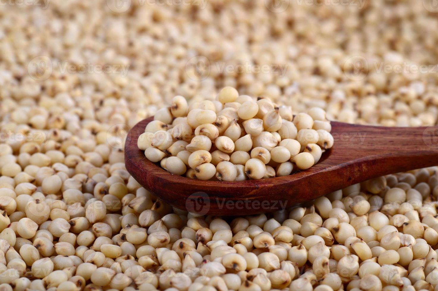 close-up de sorgo com colher de pau. foto