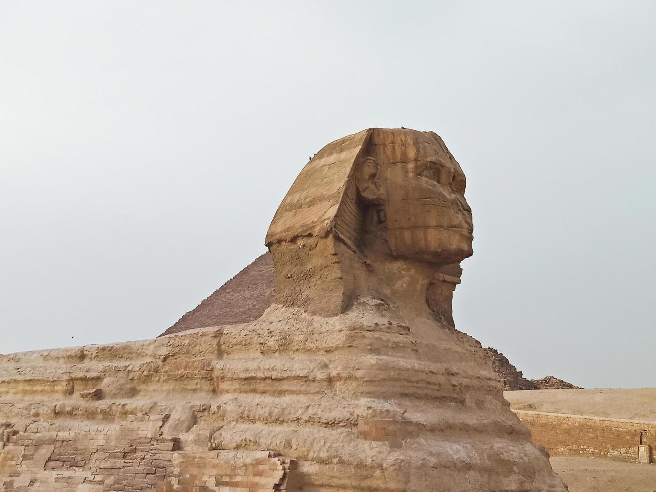 a visão de sphinks em gizé, egito foto