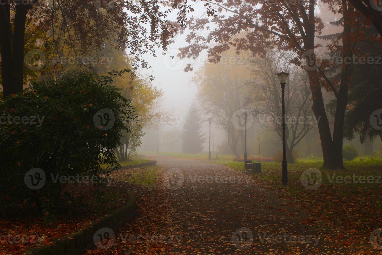 bela paisagem de outono. parque nebuloso. foto