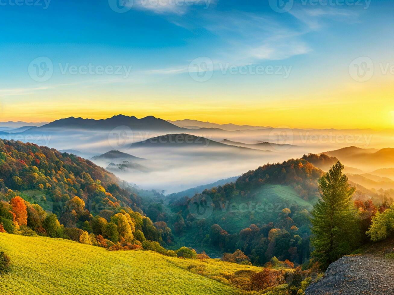 panorama Preto floresta Alemanha foto