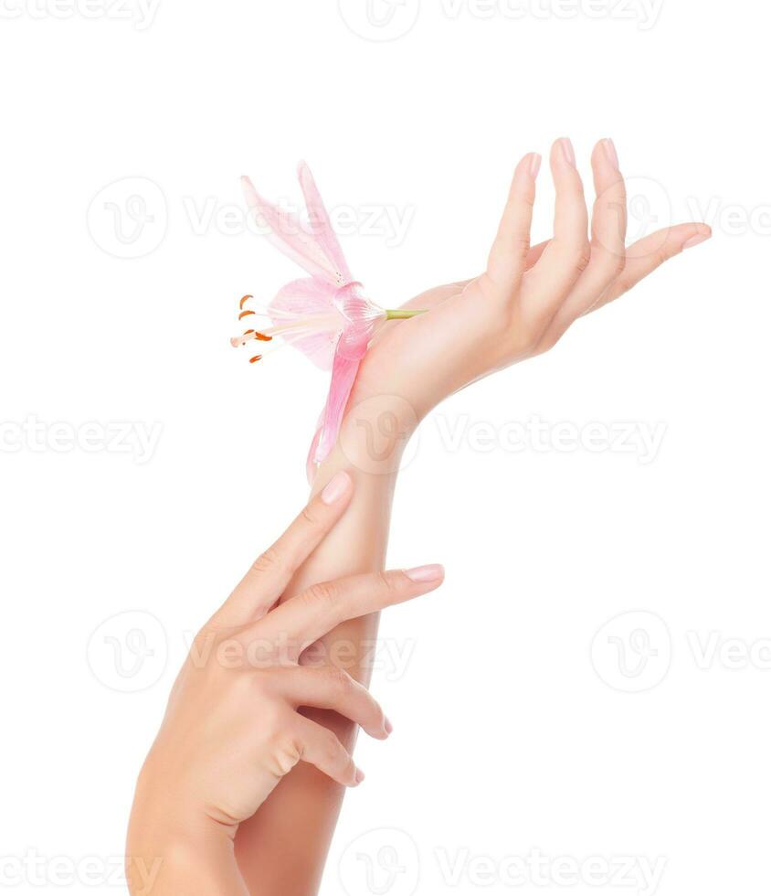 fêmea mãos com lírio flor foto