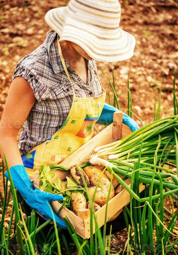 agricultor trabalhando dentro a jardim foto