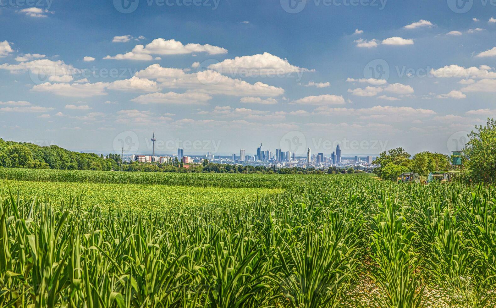 panorâmico Visão do Frankfurt Horizonte sobre uma milho campo a partir de a direção do tauno foto