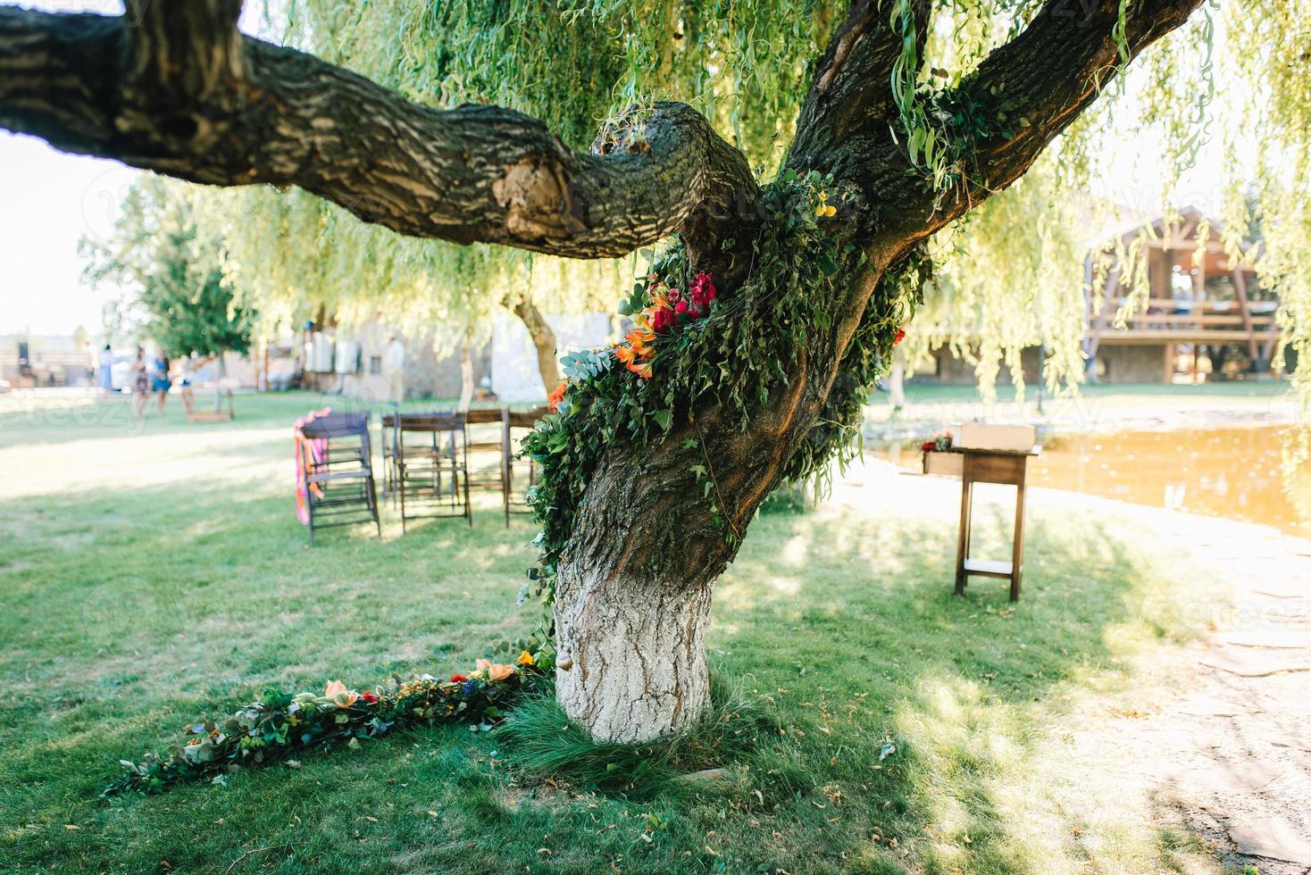 área para cerimônia de casamento, decoração com cadeiras em arco foto