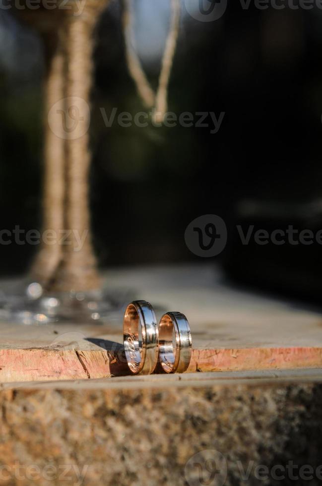 alianças de casamento na grama foto